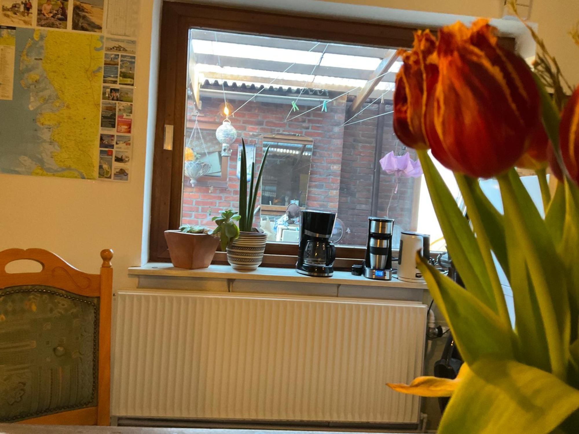 Privartzimmer 'Ausfahrt Freihalten' Husum  Eksteriør billede