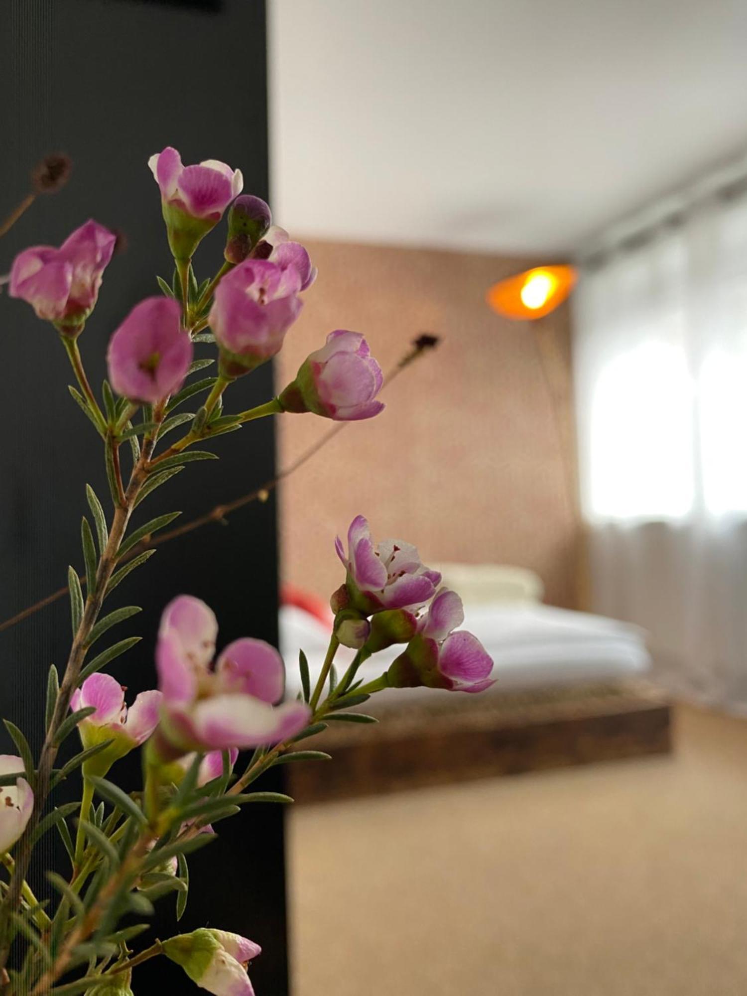 Privartzimmer 'Ausfahrt Freihalten' Husum  Eksteriør billede