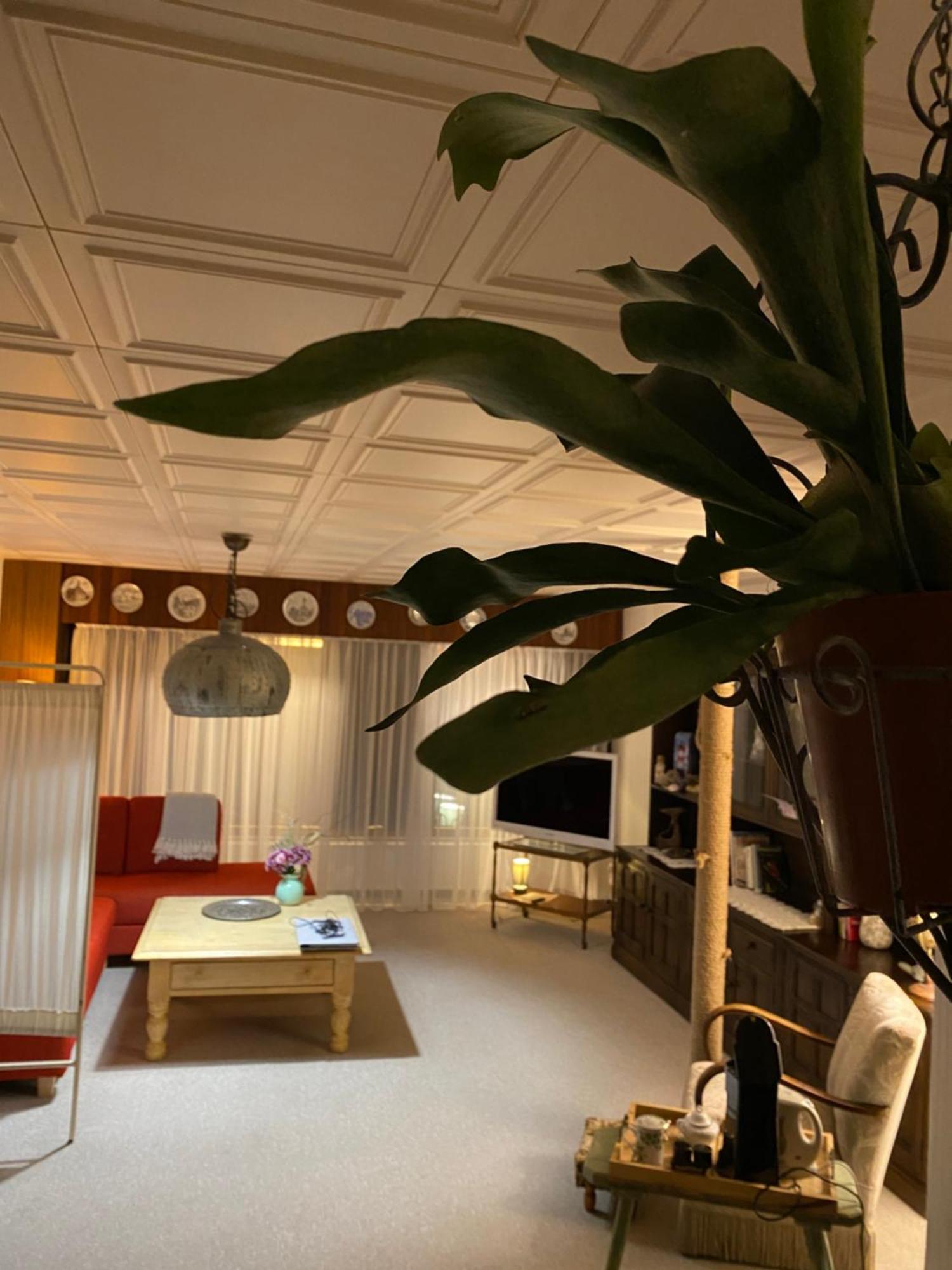 Privartzimmer 'Ausfahrt Freihalten' Husum  Eksteriør billede